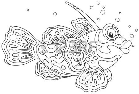 Mandarinfish coloring #17, Download drawings