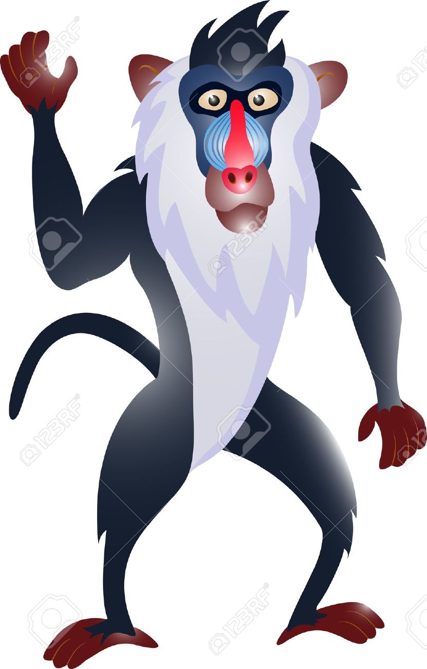 Mandrill clipart #6, Download drawings