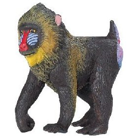 Mandrill clipart #8, Download drawings