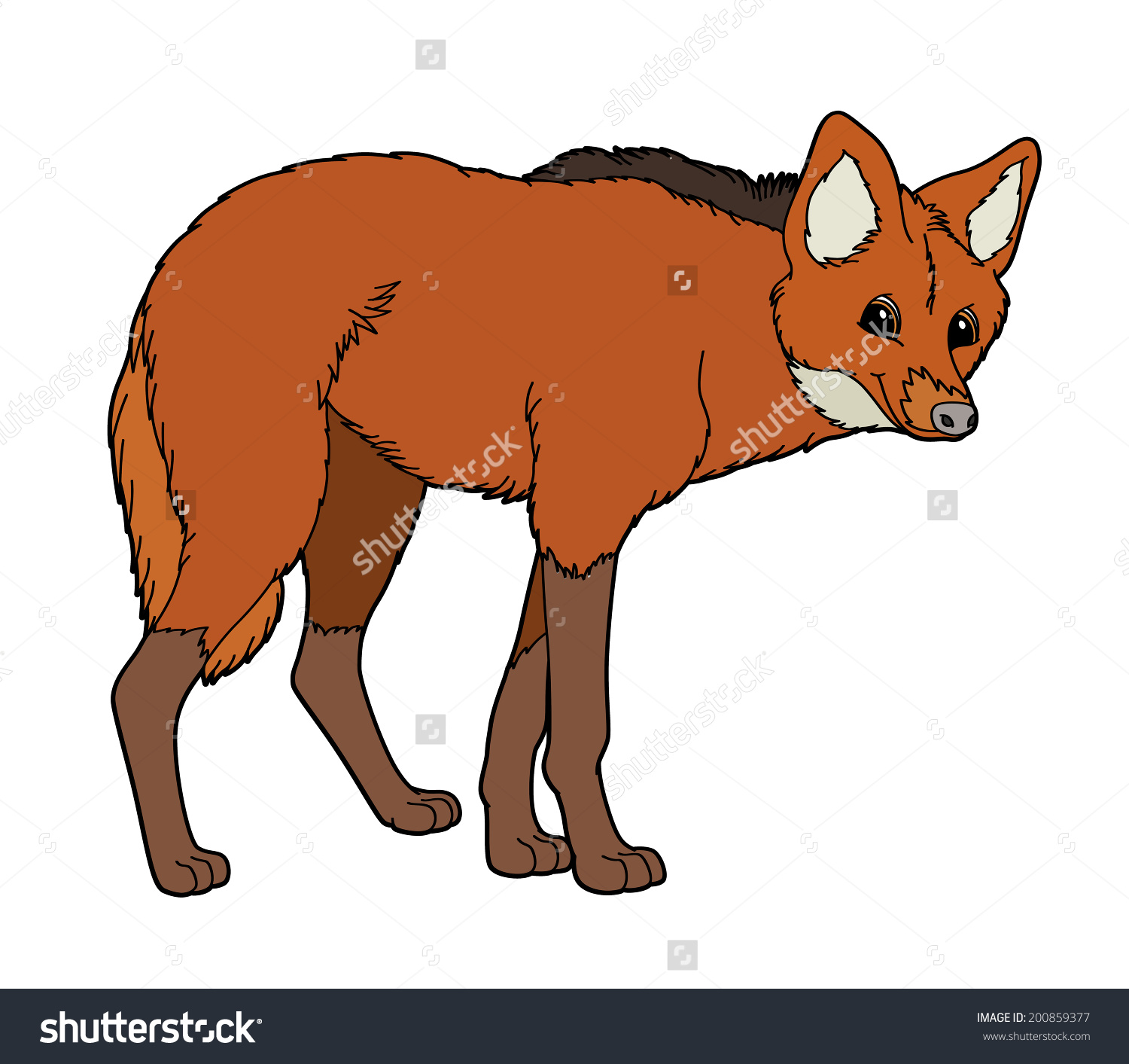 Maned Wolf coloring #5, Download drawings