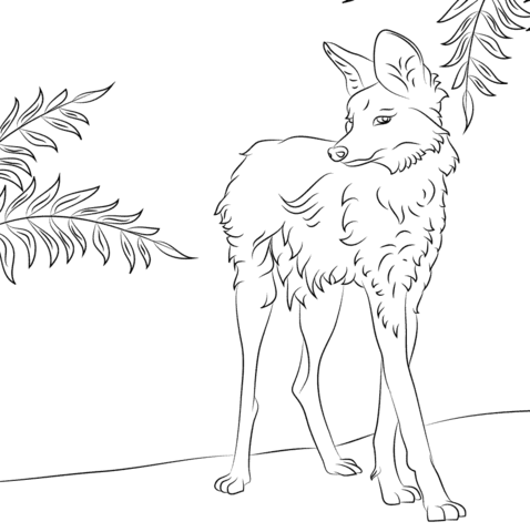 Maned Wolf coloring #12, Download drawings