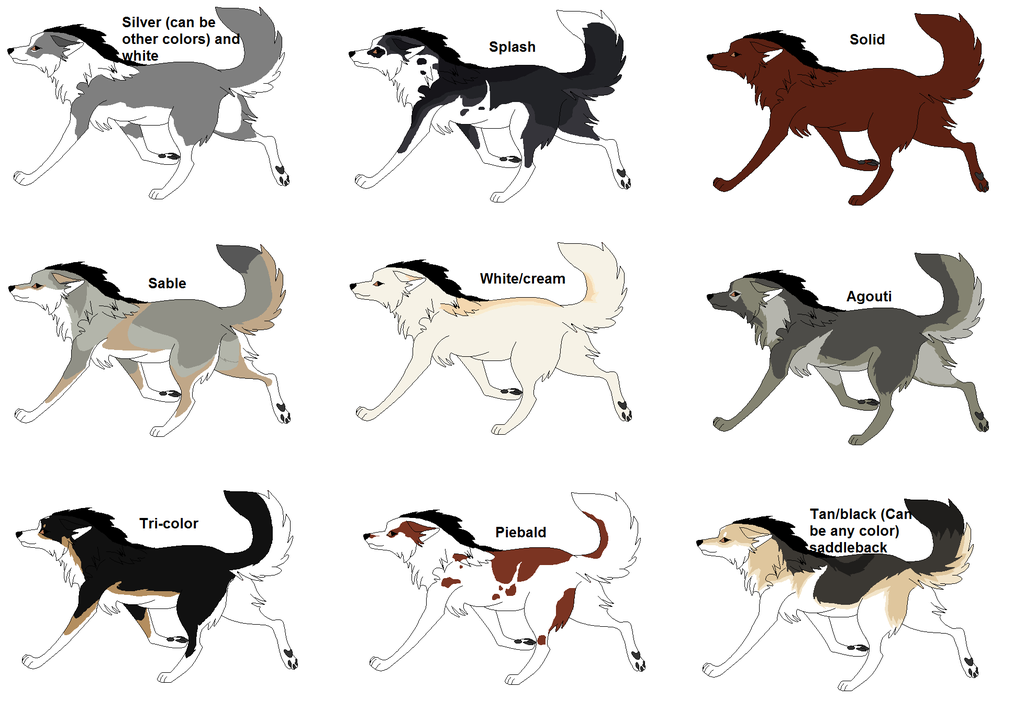 Wolfdog coloring #19, Download drawings