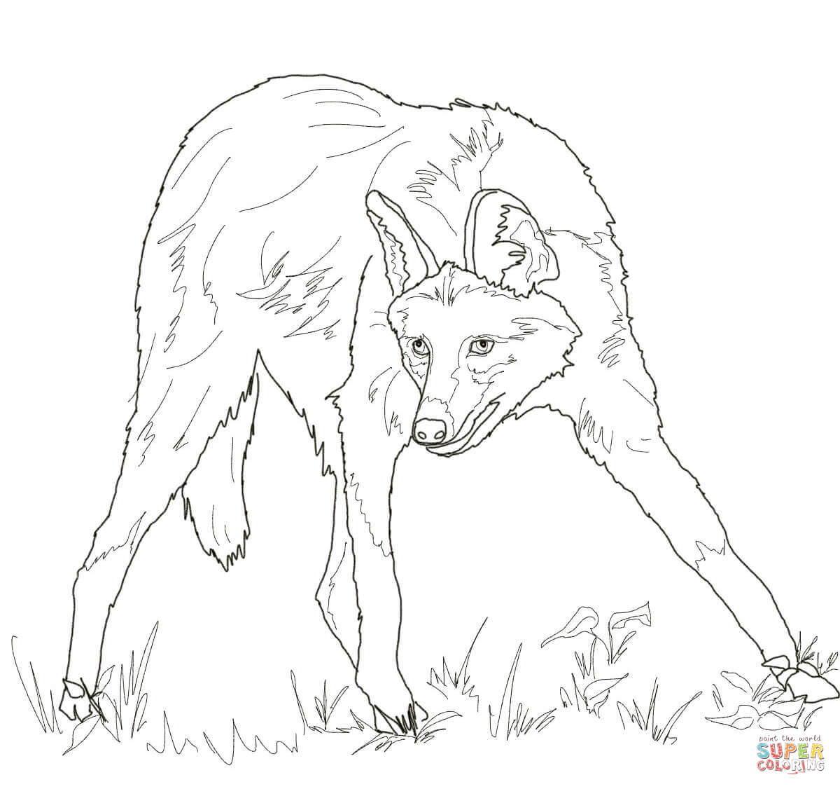 Maned Wolf coloring #10, Download drawings