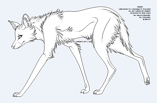 Maned Wolf coloring #4, Download drawings
