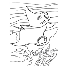 Manta Ray coloring #1, Download drawings
