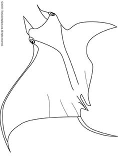 Manta Ray coloring #10, Download drawings