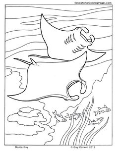 Manta Ray coloring #19, Download drawings