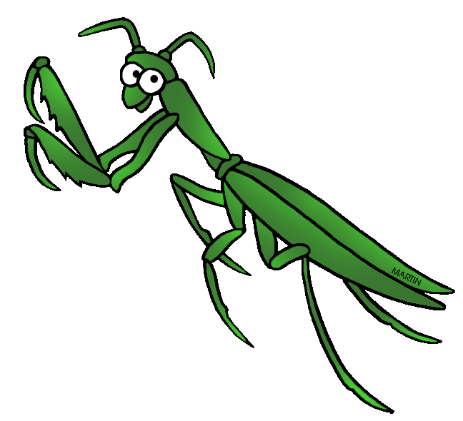 Mantis clipart #20, Download drawings
