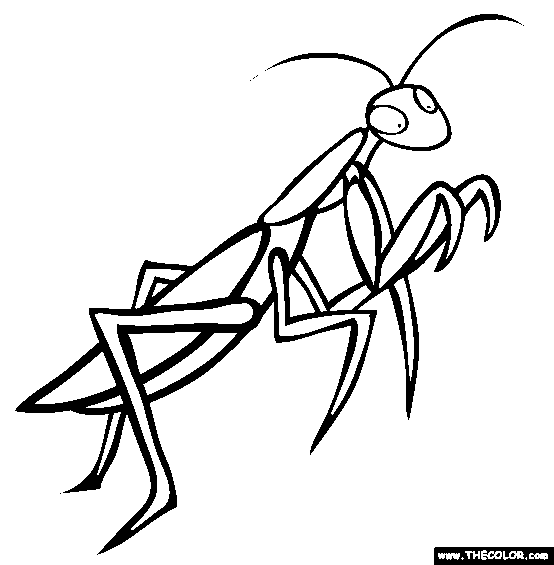 Mantis coloring #20, Download drawings