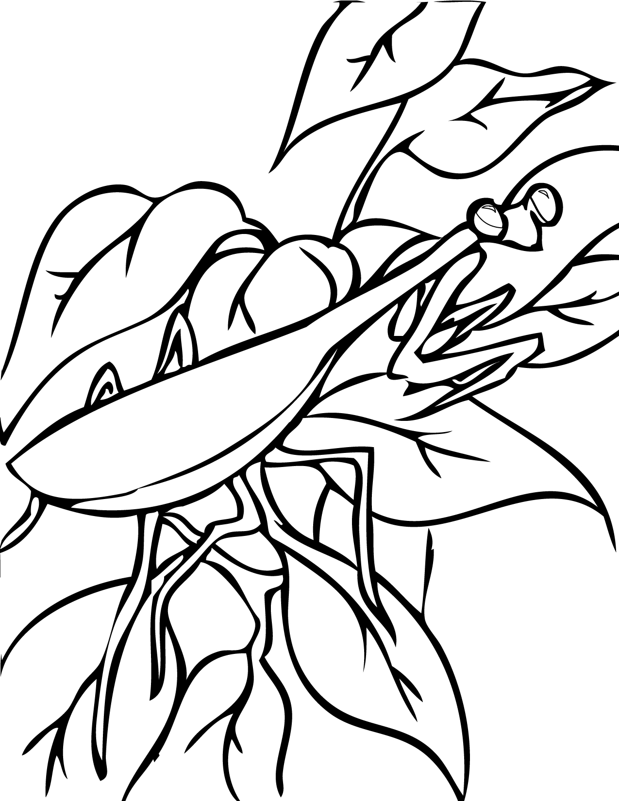 Mantis coloring #2, Download drawings