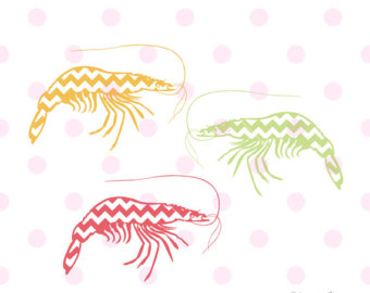 Mantis Shrimp svg #3, Download drawings