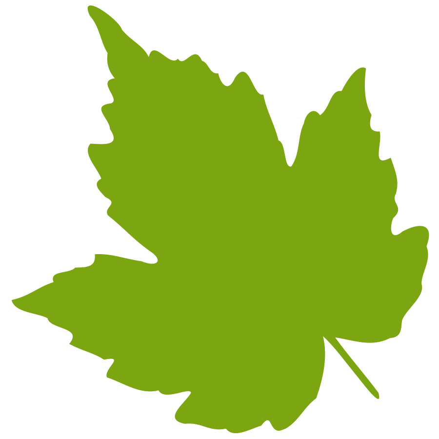 Maple Leaf clipart #5, Download drawings