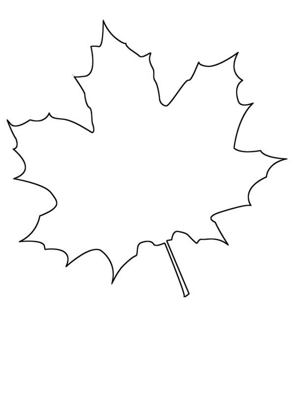 Maple Leaf coloring #12, Download drawings