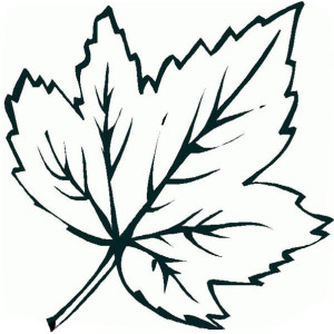 Maple Leaf coloring #10, Download drawings