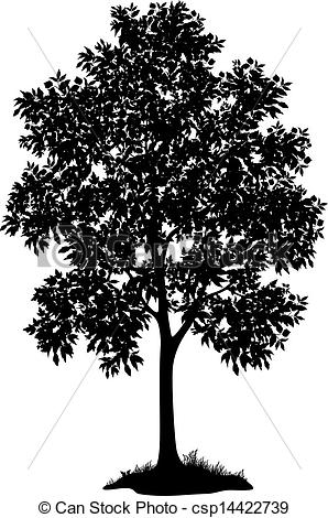 Maple Tree clipart #11, Download drawings