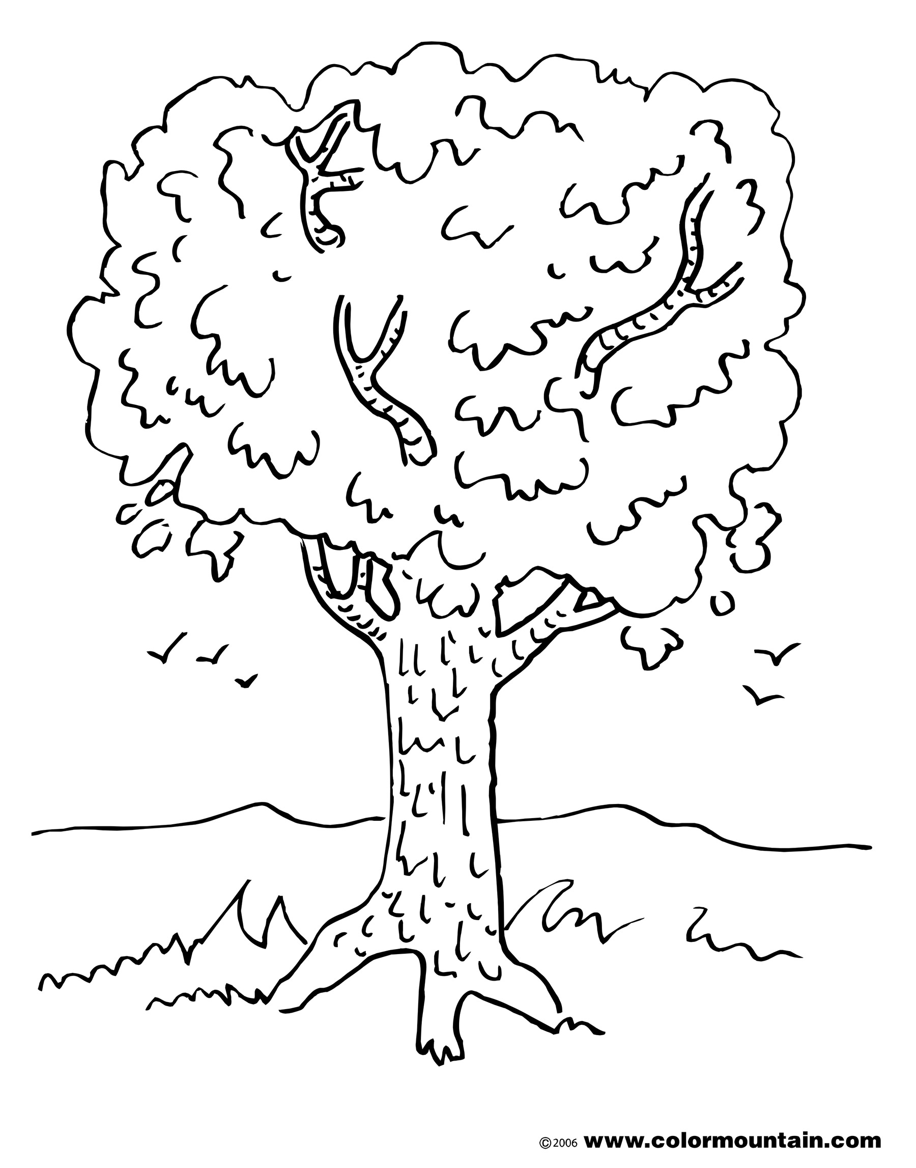 Maple Tree coloring #10, Download drawings