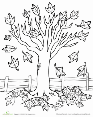 Maple Tree coloring #19, Download drawings