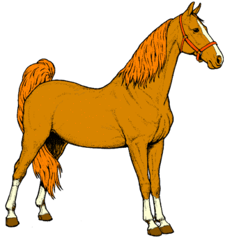 Mare clipart #1, Download drawings