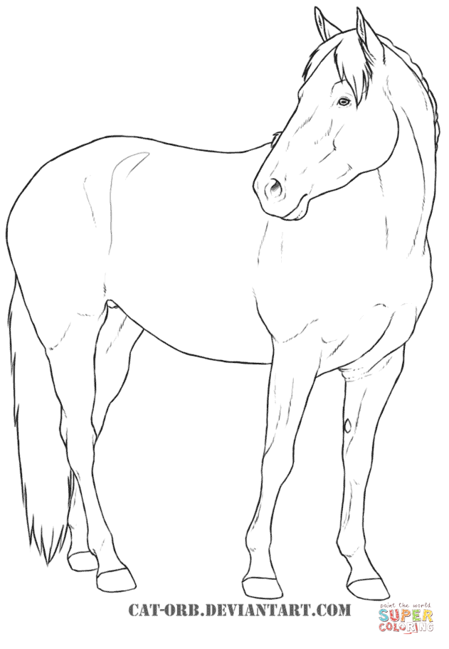 Mare coloring #4, Download drawings