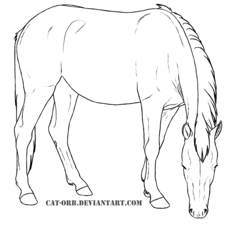 Mare coloring #1, Download drawings