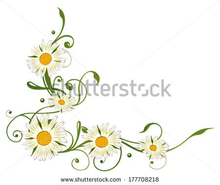 Marguerite Daisy clipart #9, Download drawings