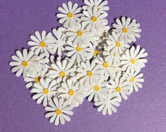 Marguerite Daisy svg #6, Download drawings
