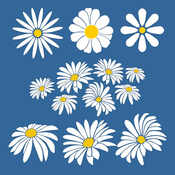 Marguerite Daisy svg #10, Download drawings