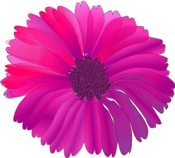 Marguerite Daisy svg #11, Download drawings