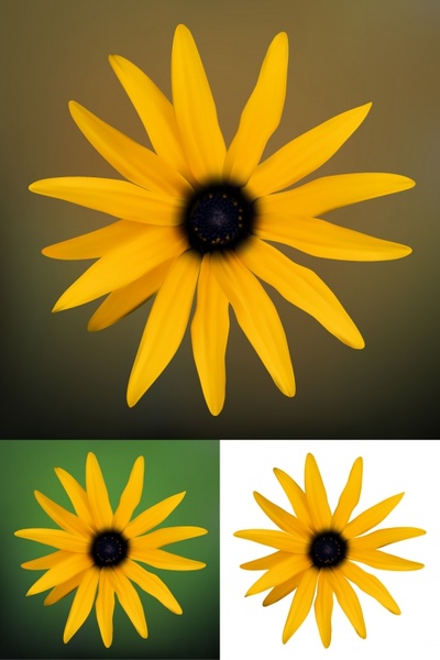 Marguerite Daisy svg #19, Download drawings