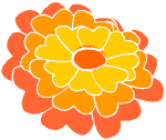 Marigold clipart #8, Download drawings