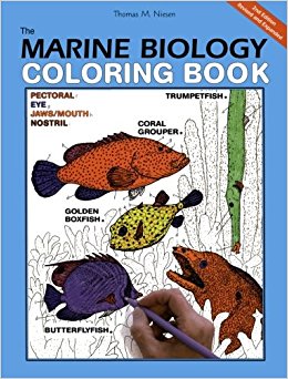 Marine coloring #8, Download drawings