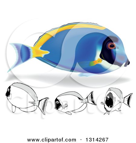 Marine Fish clipart #3, Download drawings