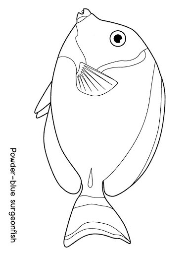 Marine Fish coloring #16, Download drawings