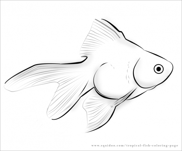 Marine Fish coloring #1, Download drawings
