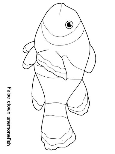 Marine Fish coloring #4, Download drawings