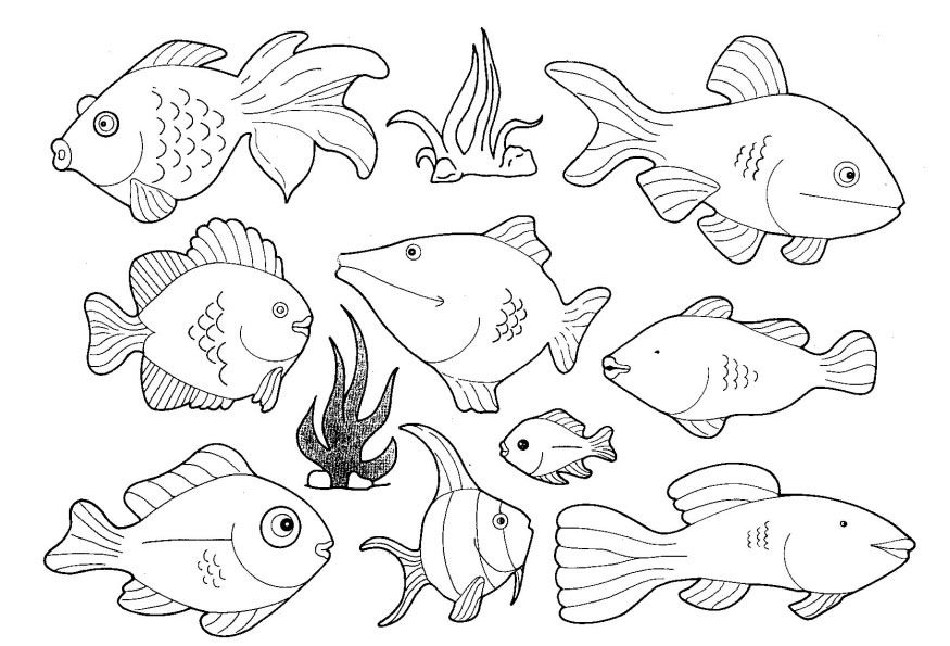 Marine Fish coloring #7, Download drawings