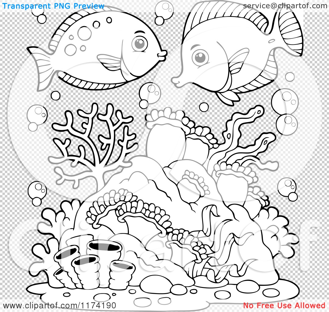 Marine Fish coloring #3, Download drawings