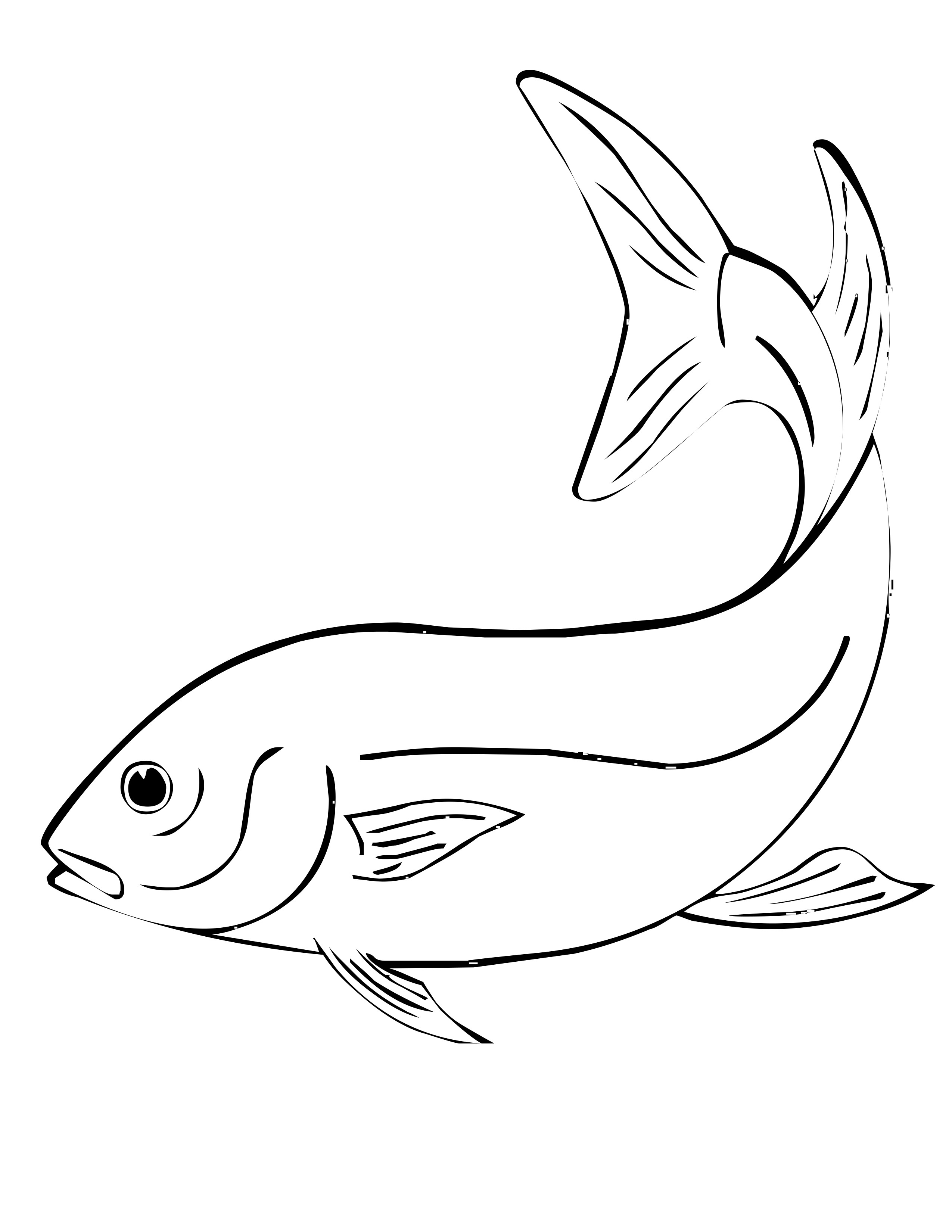 Marine Fish coloring #13, Download drawings
