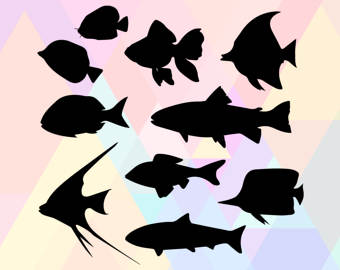 Marine Fish svg #9, Download drawings