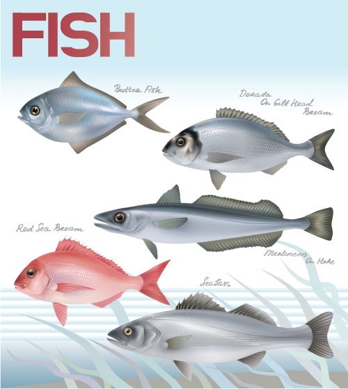 Marine Fish svg #3, Download drawings