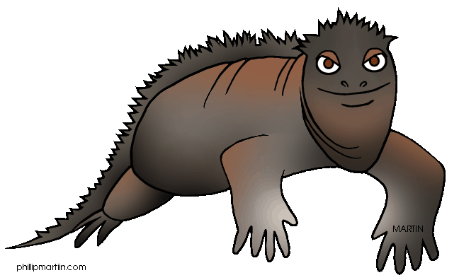 Marine Iguana clipart #13, Download drawings