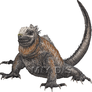 Marine Iguana clipart #15, Download drawings