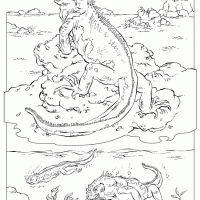 Marine Iguana coloring #13, Download drawings