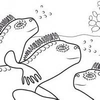 Marine Iguana coloring #16, Download drawings