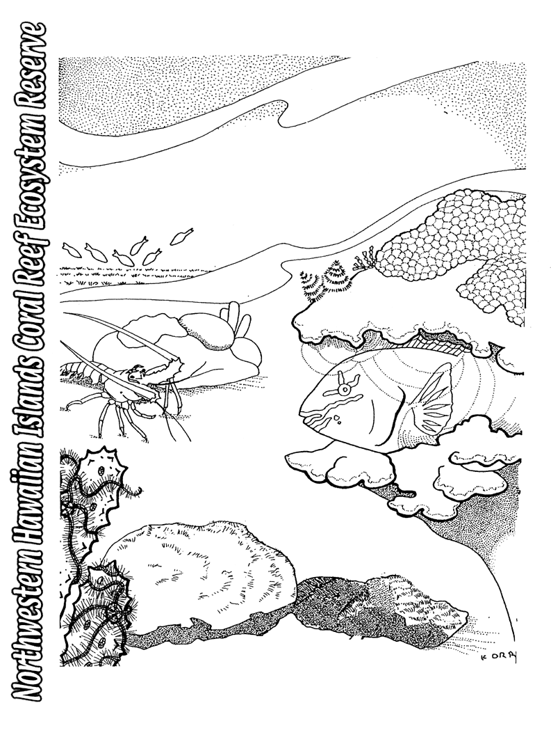 Marine Plant coloring #3, Download drawings