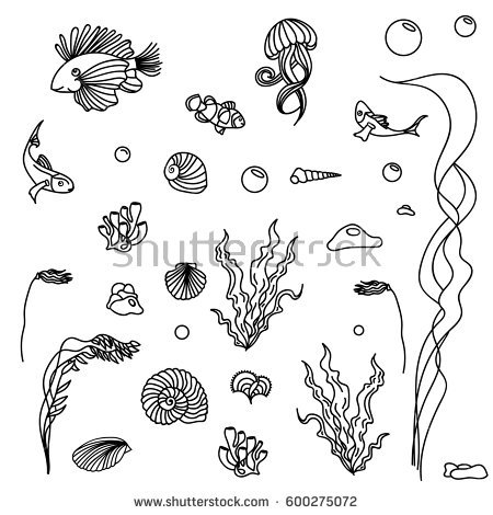 Marine Plant coloring #8, Download drawings