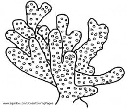 Marine Plant coloring #16, Download drawings