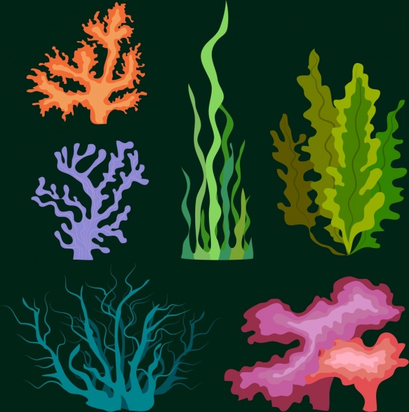 Marine Plant svg #19, Download drawings
