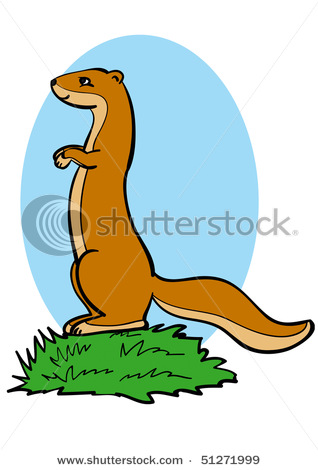 Marmot clipart #7, Download drawings