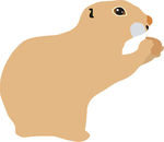 Marmot clipart #17, Download drawings